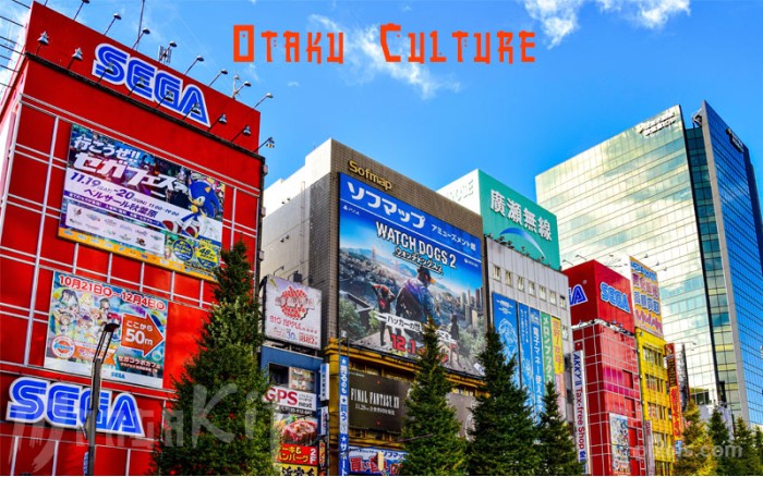 La culture Otaku : Plus qu'une passion pour les mangas !