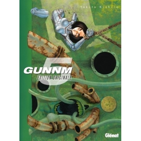 Gunnm Tome 5: Retour au Calme et Récolte du Karma pour Gally